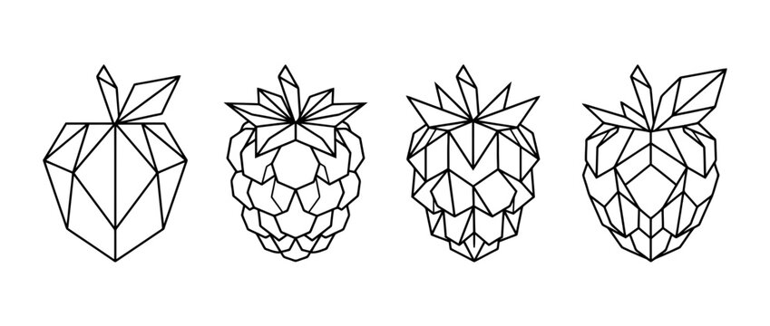 raspberry , Geometric Origami line art vector set
