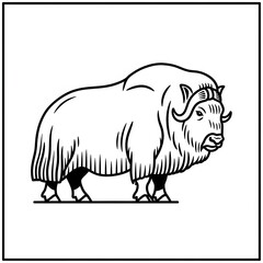 Obraz premium Muskox animal line art illustration on a white background.