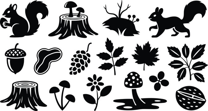 Forest woodland silhouettes squirrels acorn leaves mushrooms berries tree stumps walnut peanut flower nature eco vector illustration design