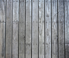 Obraz premium Weathered porch decking with natural patina wood color, strong wood grain, three rows of nails, visible gaps between boards, cracks, scratches, knots, and dried leaves