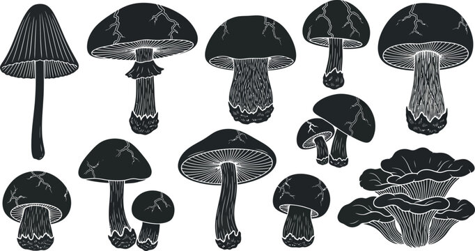 Collection of black and white mushroom with detailed gills and cracked caps fungi silhouette
