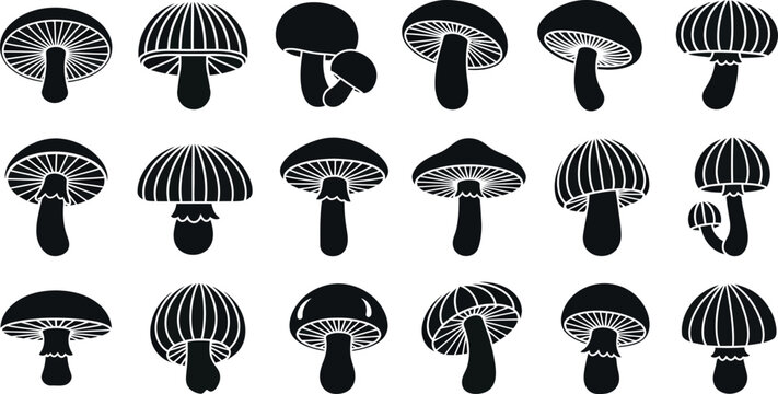 Collection of black and white stylized mushroom with various cap shapes and gills silhouette