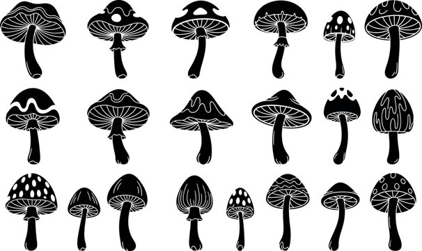 Collection of black silhouette mushroom with varied cap shapes and patterns white