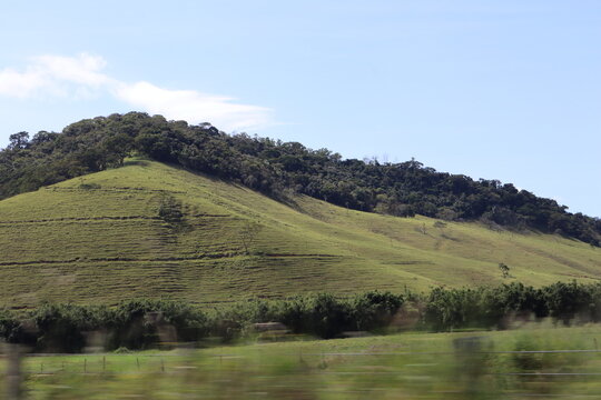 montanha verde  florest