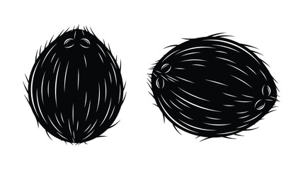 Two coconuts presented in a striking black silhouette © Md