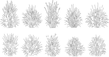 Minimalist grass line art collection, 10 botanical vector plant silhouettes, black and white meadow grass tufts for landscape design and architecture © Faisal