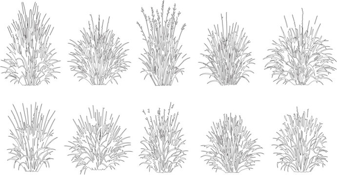 Minimalist grass line art collection, 10 botanical vector plant silhouettes, black and white meadow grass tufts for landscape design and architecture
