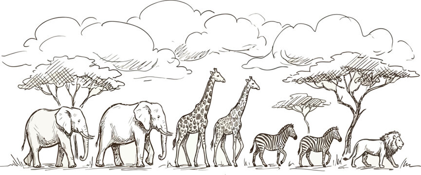 A hand drawn vector art illustration of animals including elephant, giraffe, lion, horse, and zebra in a savannah landscape with trees and clouds.