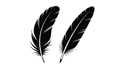 Obraz premium Two black feathers displayed against a white background silhouette