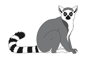 Ring tailed lemur sitting down. © Bocil