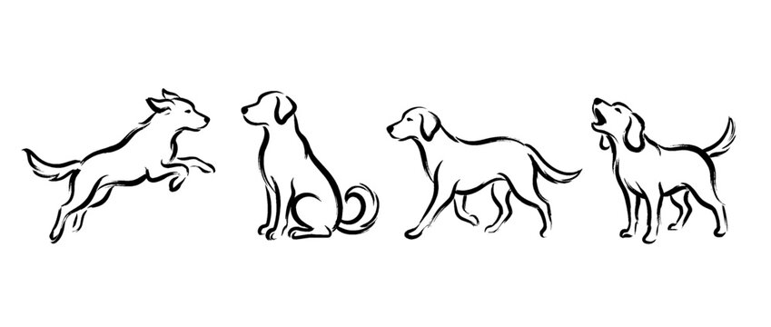 bark , Traditional Chinese Brush , strokes swirl style