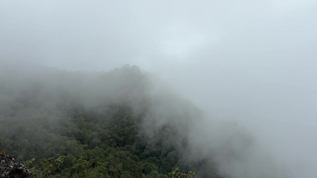 Misty mountain landscape with fog drifting through forest trees under a cloudy morning sky