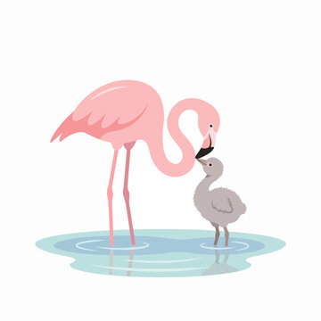 illustration of a pink flamingo