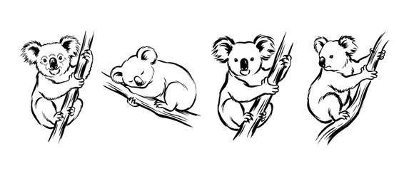 Obraz premium koala , Traditional Chinese Brush , strokes swirl style