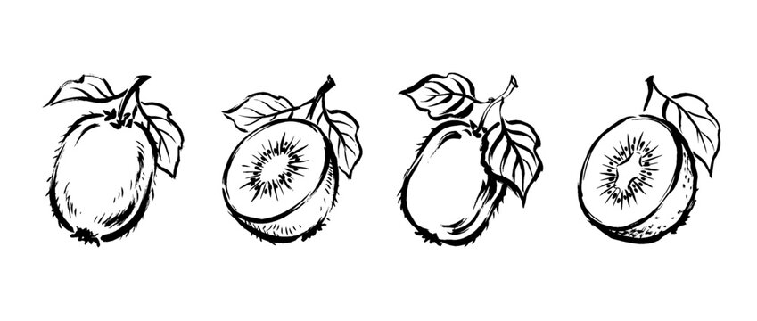 kiwi , Traditional Chinese Brush , strokes swirl style