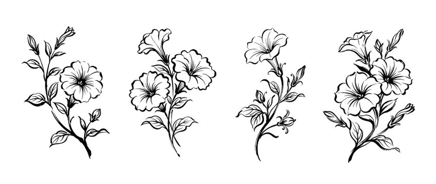 petunia , Traditional Chinese Brush , strokes swirl style