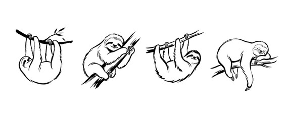 Fototapeta premium sloth , Traditional Chinese Brush , strokes swirl style