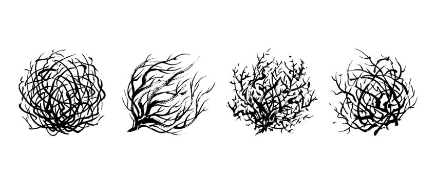 tumbleweed , Traditional Chinese Brush , strokes swirl style