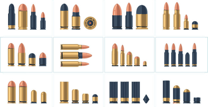 Ammunition Bullet Cartridge Set with Different Caliber Rounds Shell Casings and Firearm Ammo Types for Military Defense Shooting and Weapon Design