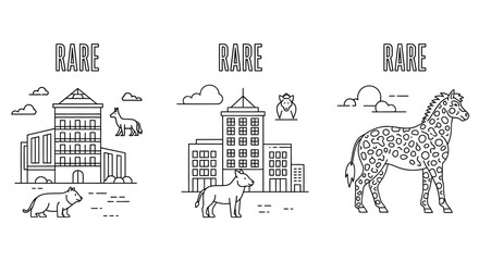 Llama standing in front buildings. © Dafek