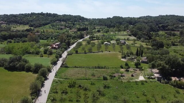 Drone shot of cyclists in a peloton competing in the 'Vuelta a Mallorca' 2026; scenic country road surrounded by trees and traditional stone walls.
