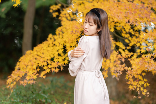美しい日本女性