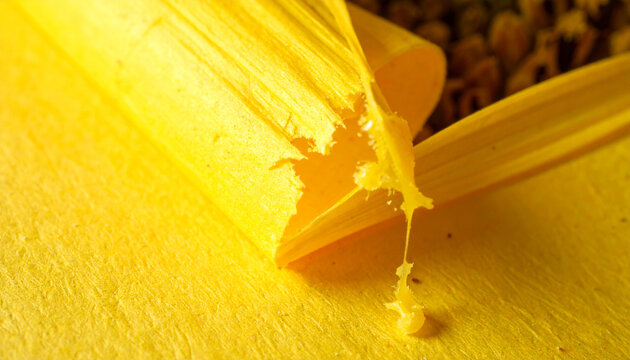Abstract yellow paper texture