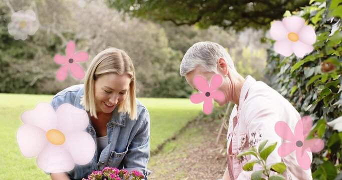 Planting pair in denim button shirt kneeling on lawn hedge placing potted pink flowers pink overlay