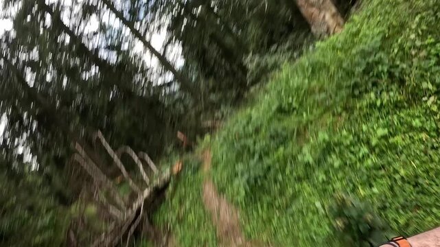 Man Stops On Forest Trail Because Fallen Tree Blocks Path
