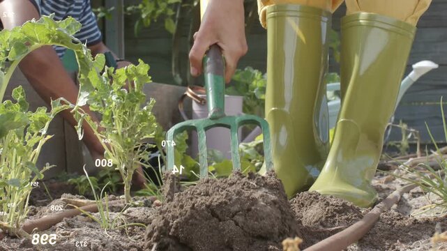 Woman using green hand fork pressing into dry soil, loosening clumps for raised bed gardening