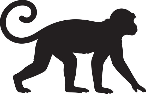 Black silhouette of a monkey walking