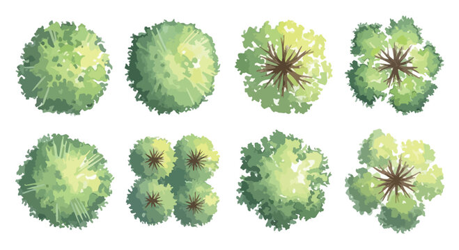 Watercolor architectural tree symbols, top view landscape plan elements, set of 8 green plant icons for site mapping and garden design layout