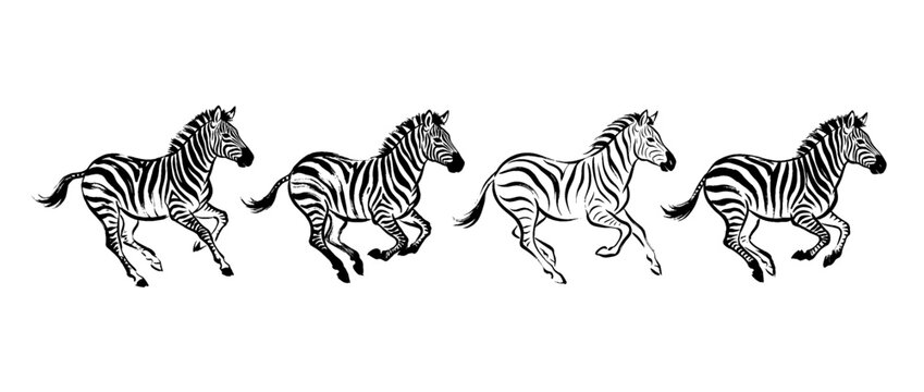 zebra , Traditional Chinese Brush , strokes swirl style