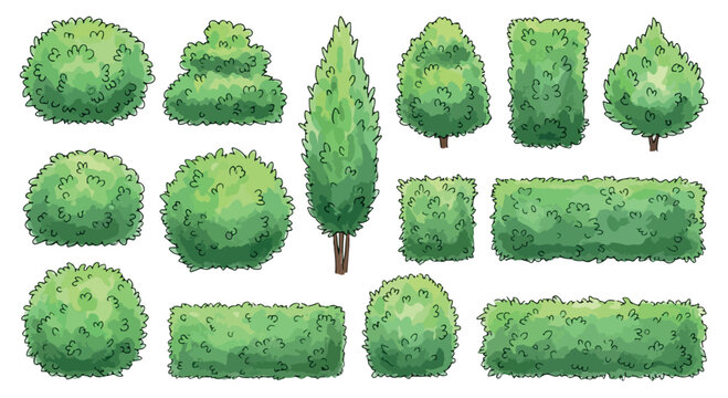 Watercolor garden bushes and topiary shrubs set, green hedge plants collection in various shapes, hand drawn botanical vector elements for landscaping