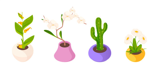 Naklejka premium Potted plants with blossoms and flowers. Vector isometric decorative greenery and cactus varieties. Botanical flowering stages and plant diversity. Bloom and growth, nature cycle and gardening