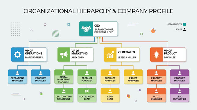 Organizational hierarchy and company profile structure.