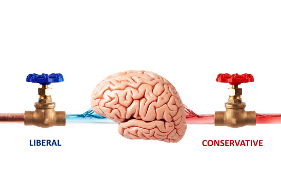 Minimalist illustration of human brain connected to blue and red control valves labeled liberal and conservative, symbolizing political influence, media framing and ideological division