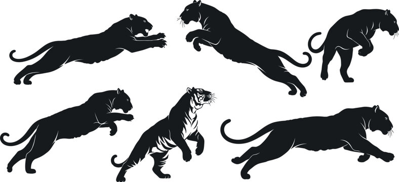 Black Panther and Tiger Silhouette Vector Set Featuring Pouncing Jumping and Running Poses for Sports Team Logos Wildlife Graphics and Powerful Animal Branding Designs