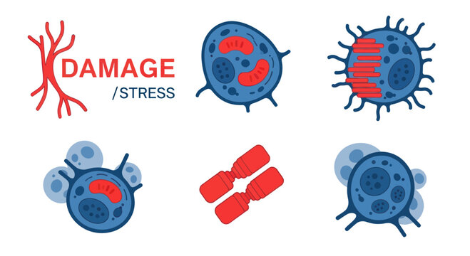 Cellular Damage and Stress Icons: Medical Biology and Science