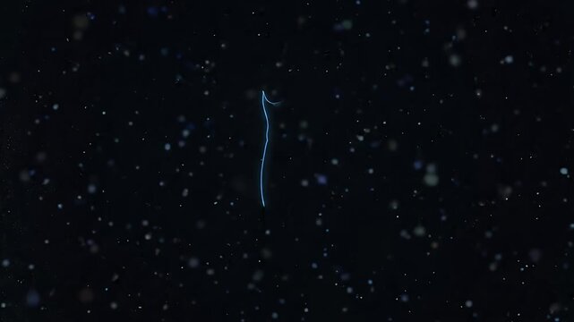 The video shows a wireframe of a human body, glowing with blue and purple neon lights. It is set against a dark background with floating particles, creating a futuristic and ethereal effect.
