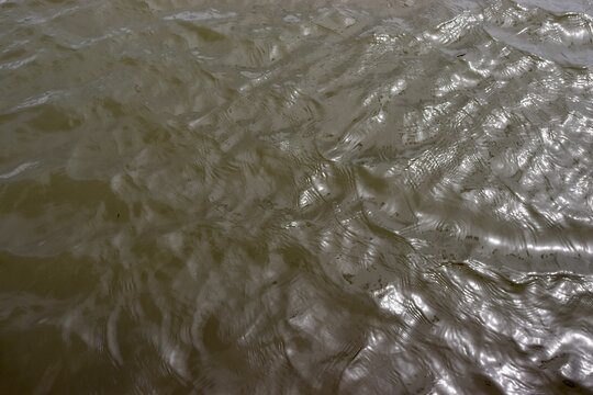 A close view of the dark water surface.