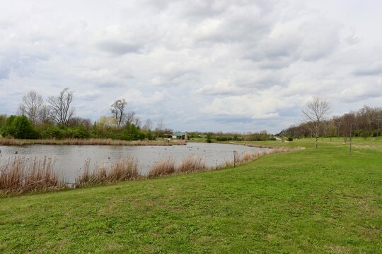 The quiet pond in the country on a cloudy day.