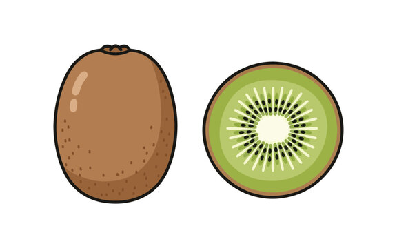 Isolated flat cartoon kiwi fruit, whole and cut, illustrated in vector style on a white background.

