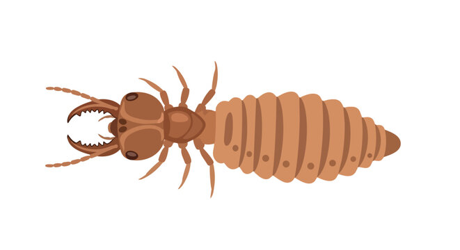Termite Soldier Insect Vector Illustration Isolated on White Background for Pest Control and Wood Damage Concept