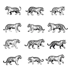 Twelve monochrome tigers in various poses, like walking, prowling, and growling, all facing different directions © Andik