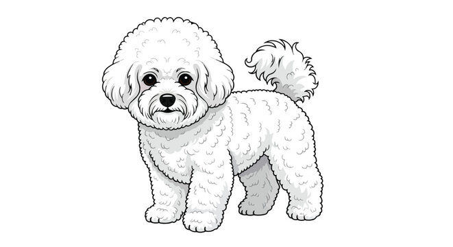 White Bichon Frise Dog Vector Illustration - Fluffy Purebred Puppy Isolated on White Background