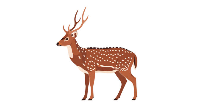 Spotted Deer Illustration with Large Antlers Isolated on White Background - Elegant Wild Animal Vector