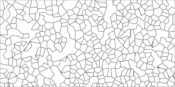 Black and white vector illustration of a Voronoi diagram pattern with irregular polygonal cells and thin black outlines on a white background