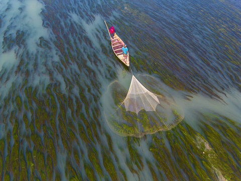 Badalgachhi, Bangladesh - 17 December 2025: Aerial view of fishermen in a small wooden boat casting a large net over shallow water filled with green aquatic plants.