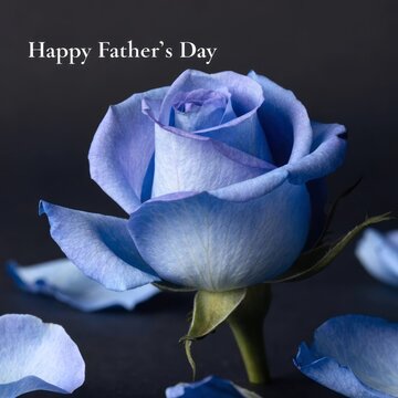 Soft Blue Rose for Father's Day Celebration with Petals and Greeting Text Overlay